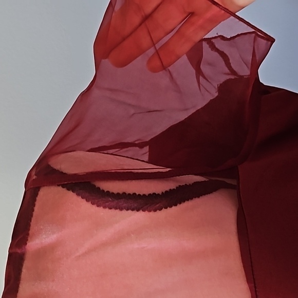 Roaman's Brick Red Short Sleeve Dress with Sheer Gauze Accents NWT - Picture 9 of 12